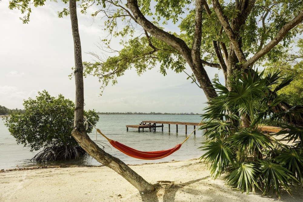 Entire Private Island For An Epic Group Vacation