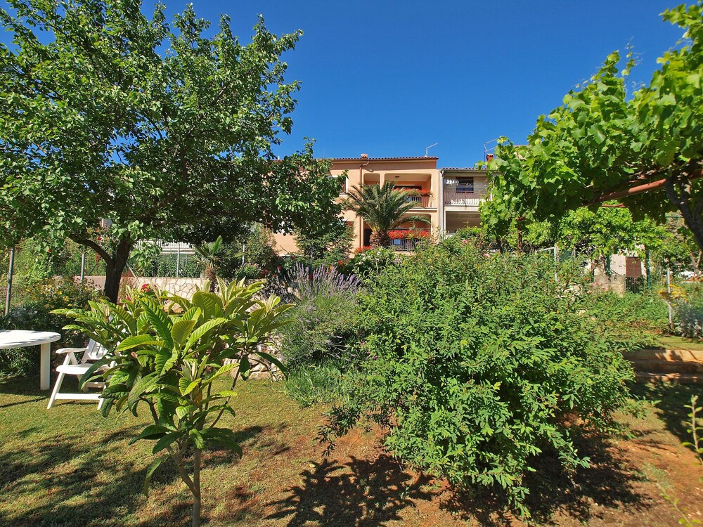 Apartment 979 view 2