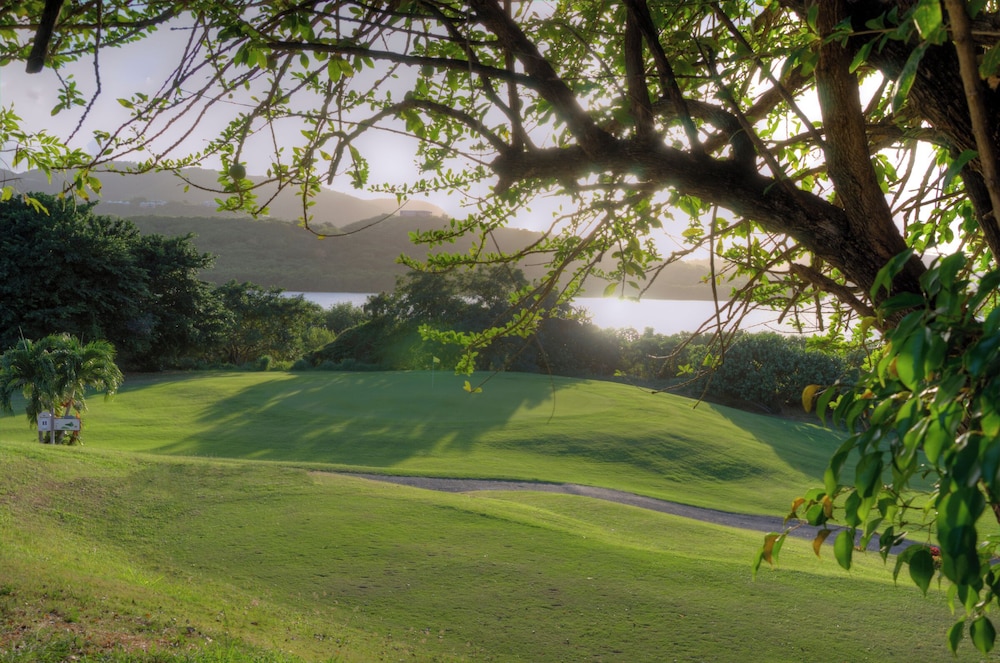The Buccaneer Beach  Golf Resort - Property Image 2