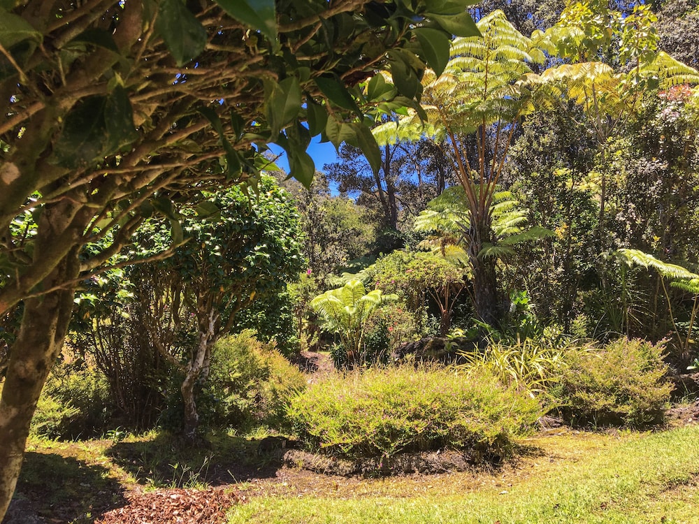 Hale KupuKupu