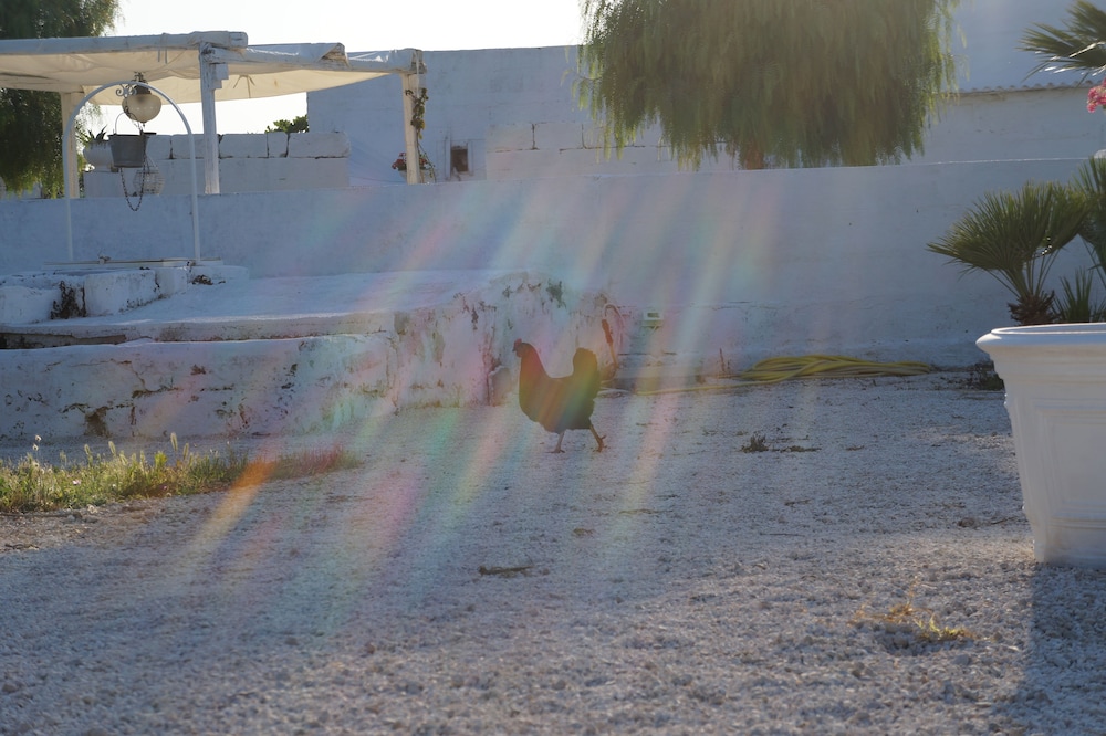 Masseria di Benedetto