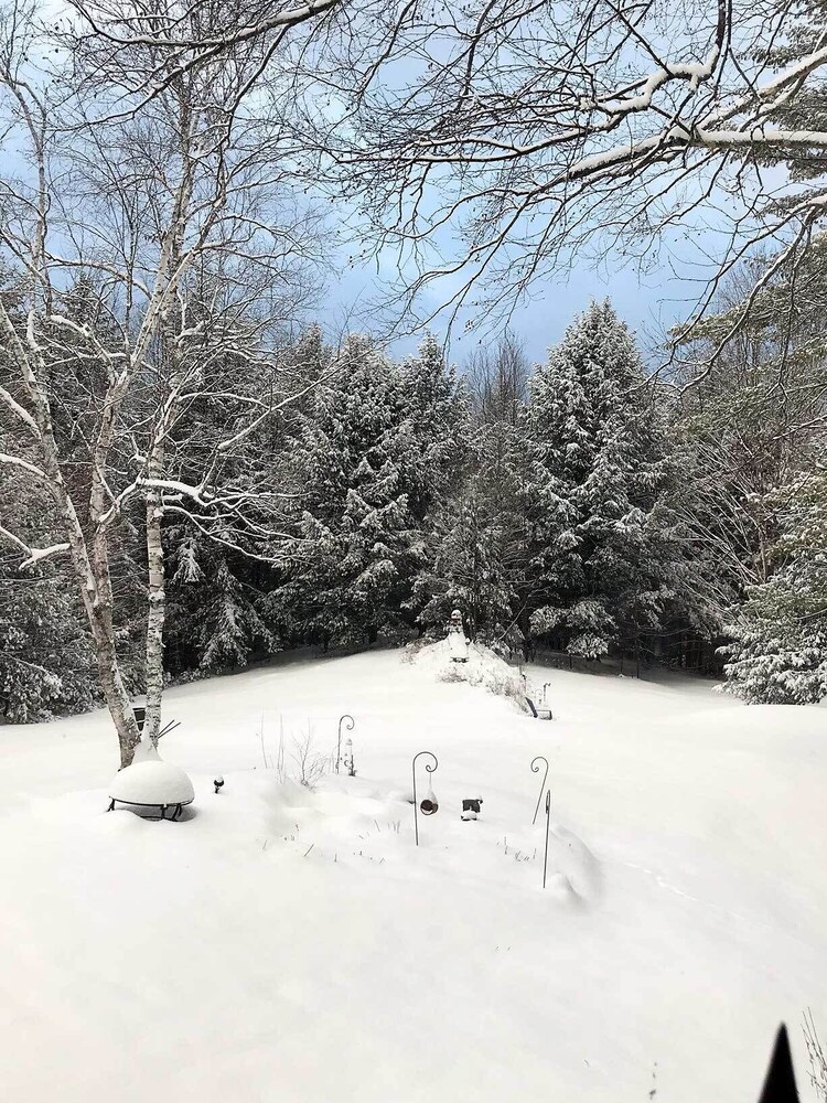 Vibrant Putney Cabin w/ Fire Pit: Hike & Ski!