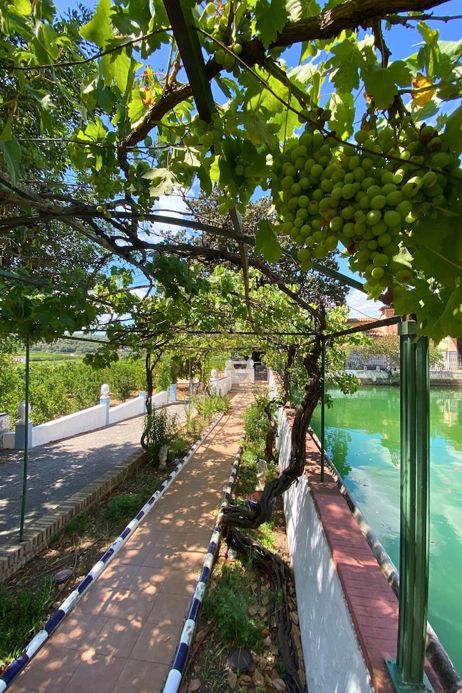 Room-🌿algarrobo Room, Your Corner of ca