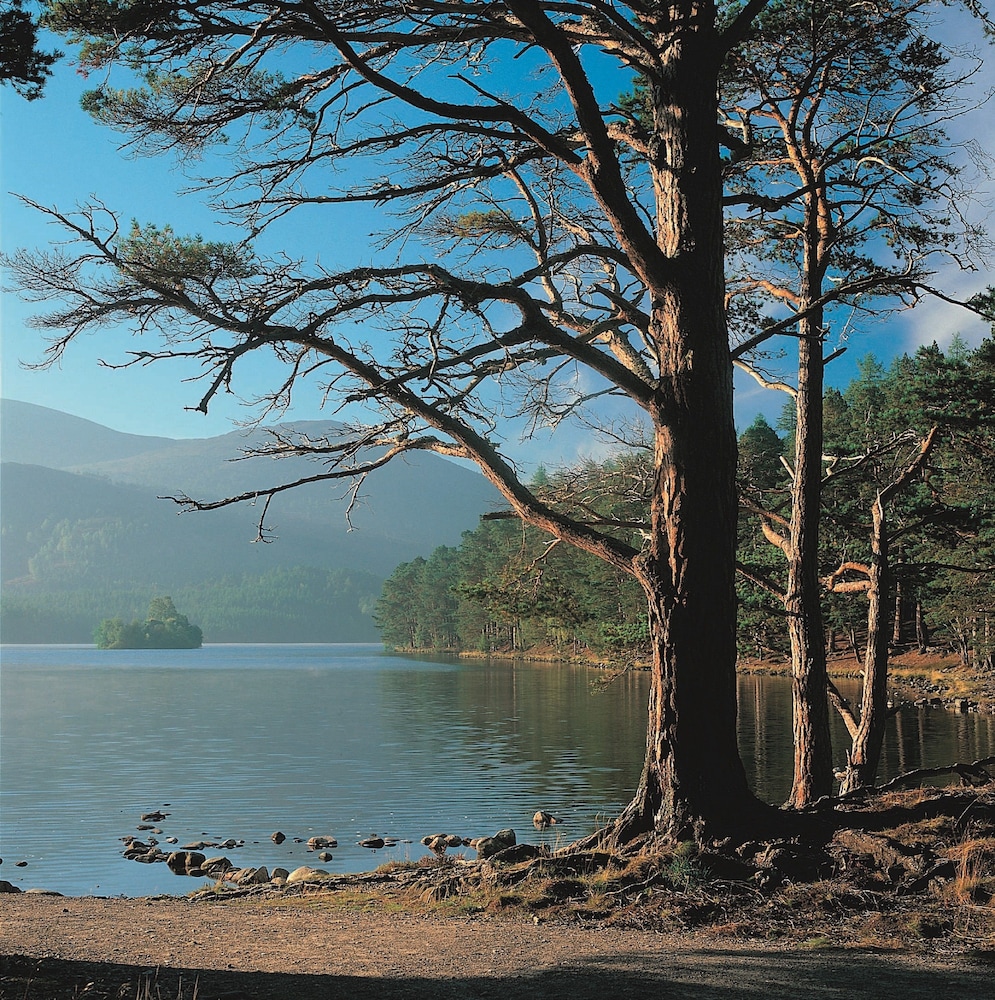 Penrith Vacations - Macdonald Leeming House - Property Image 23