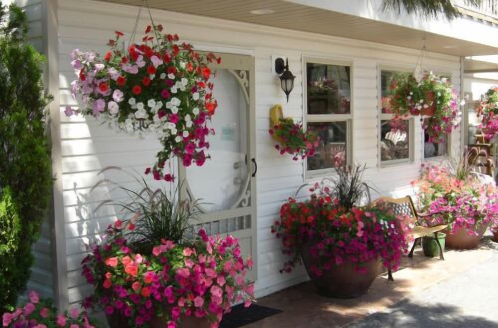 Beachside Motel