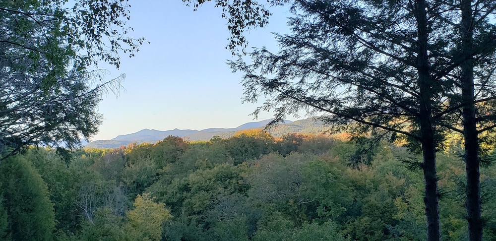 Black Bear Lodge