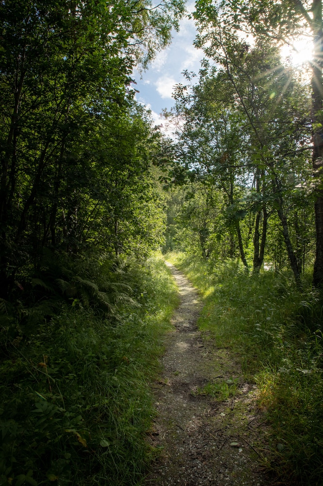 Tromsø Lodge & Camping