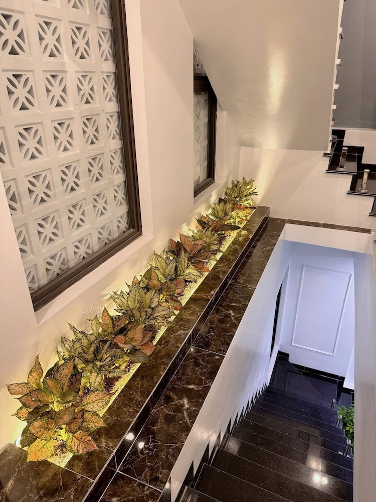 ALUC HOUSE