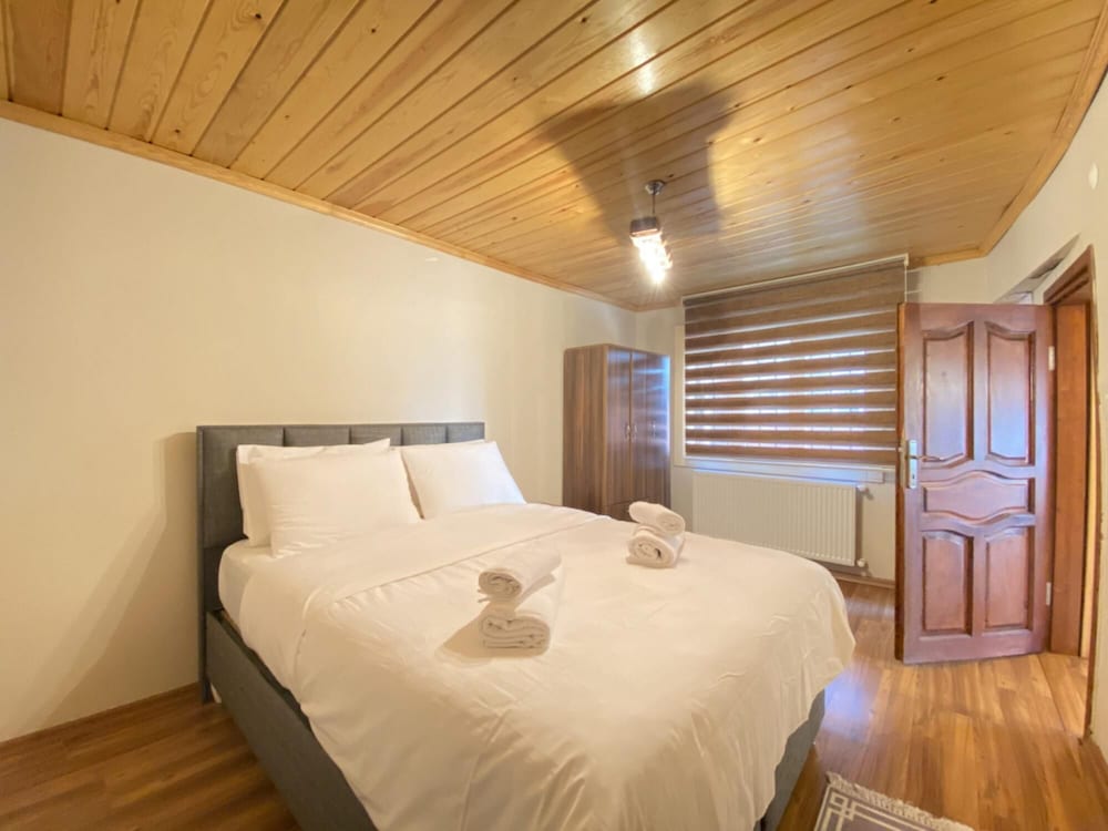 Historical Duplex Villa With Patio in Beyoglu