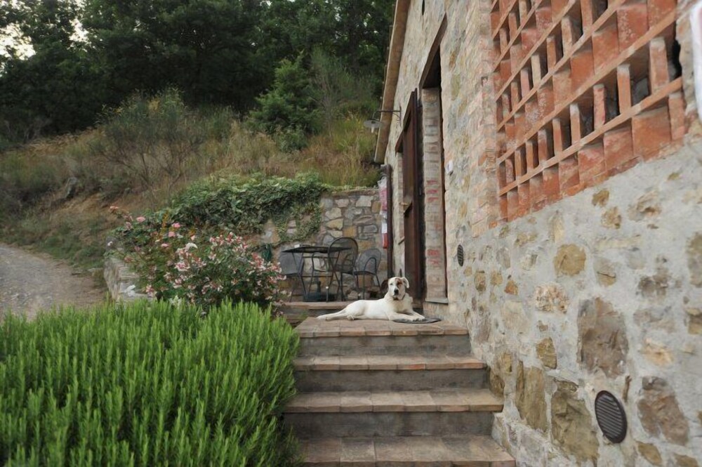 Agriturismo Monte Petreto