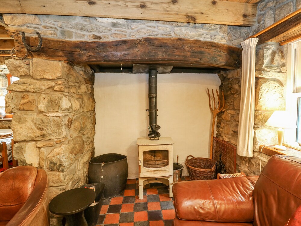 Penfeidr Newydd