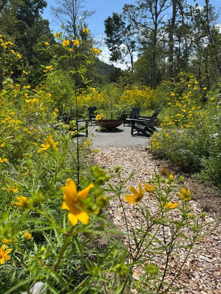 Creekside on Shope hot tub Fire pit