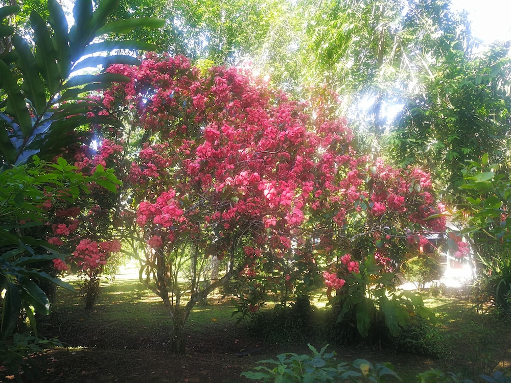 Costa Azul Lodge