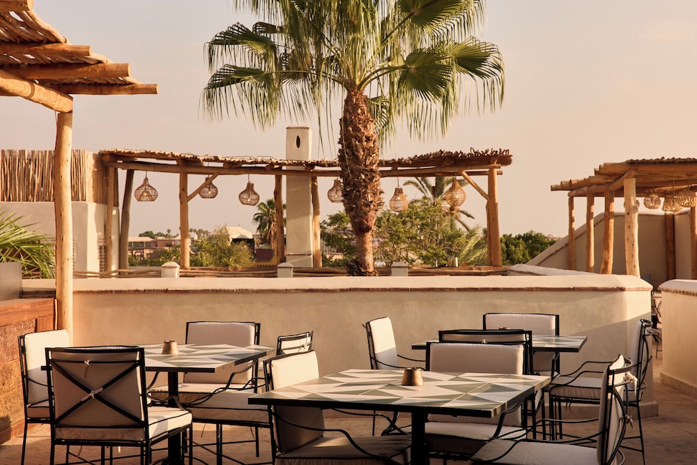 Nobu Riad