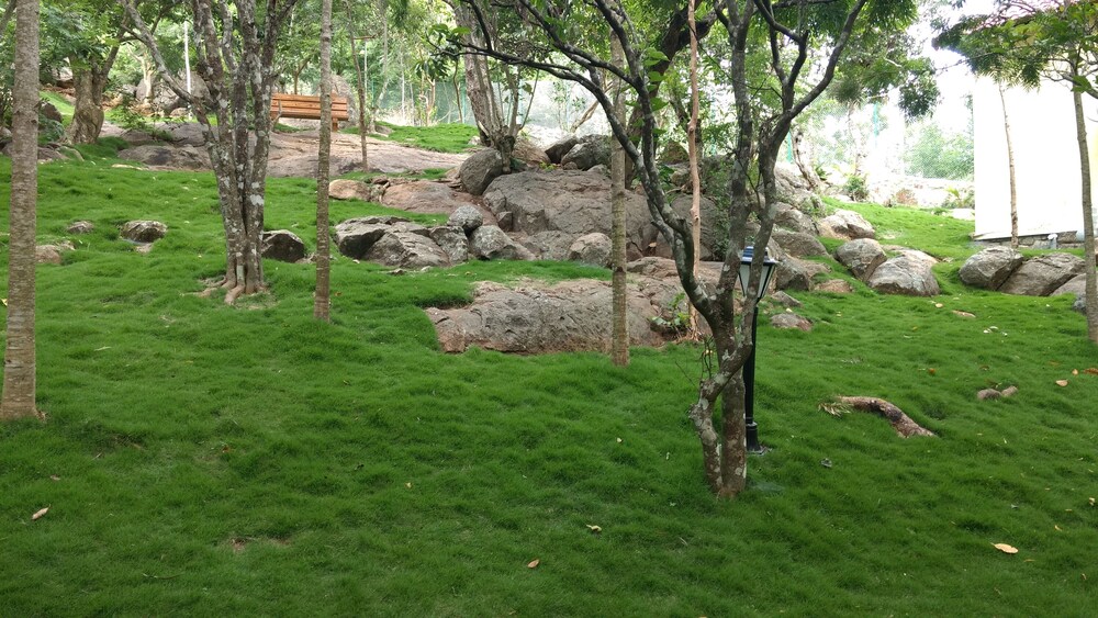 The Brook Resorts & Spa