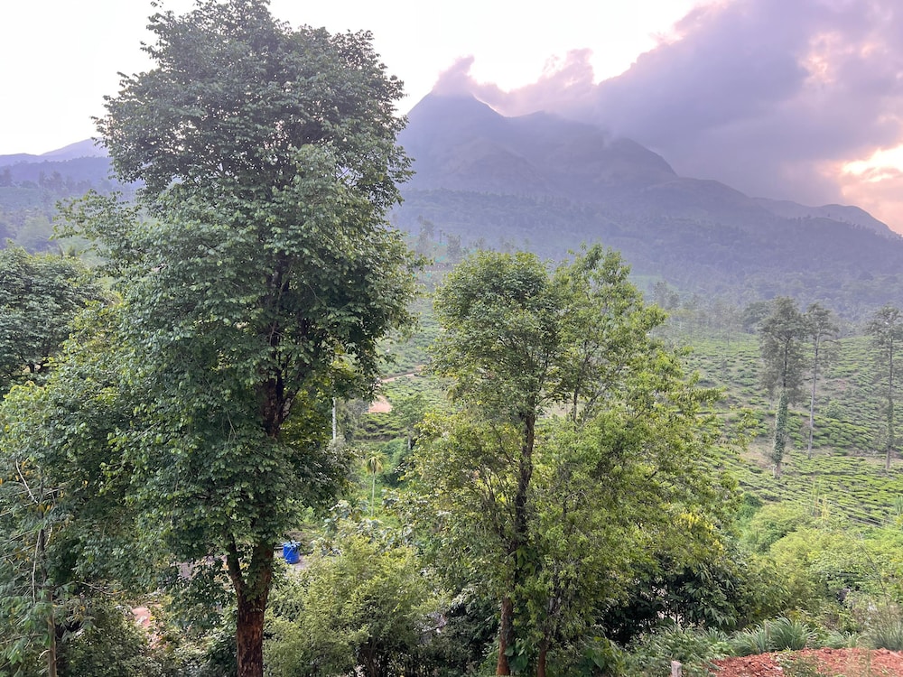 Mountain Serenity