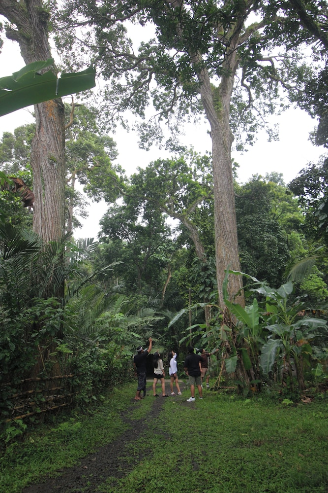 Dhanya Villa Karangasem