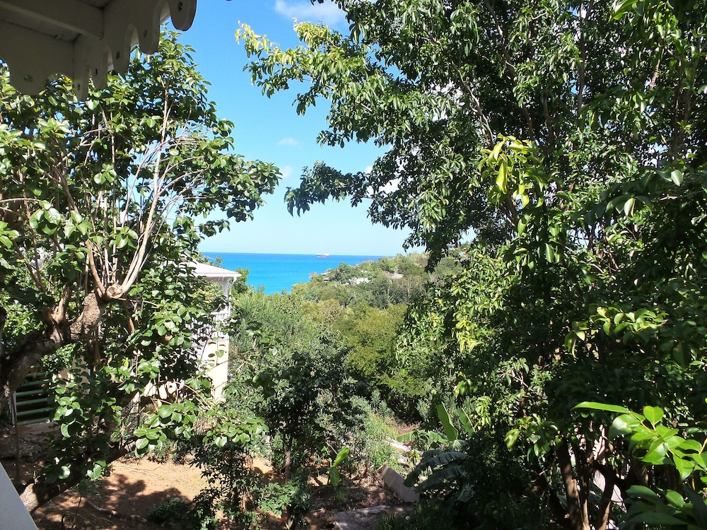 Galley Bay Cottages - Property Image 19