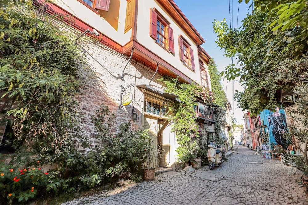 Macaron Konagi Ayvalik - Image 8