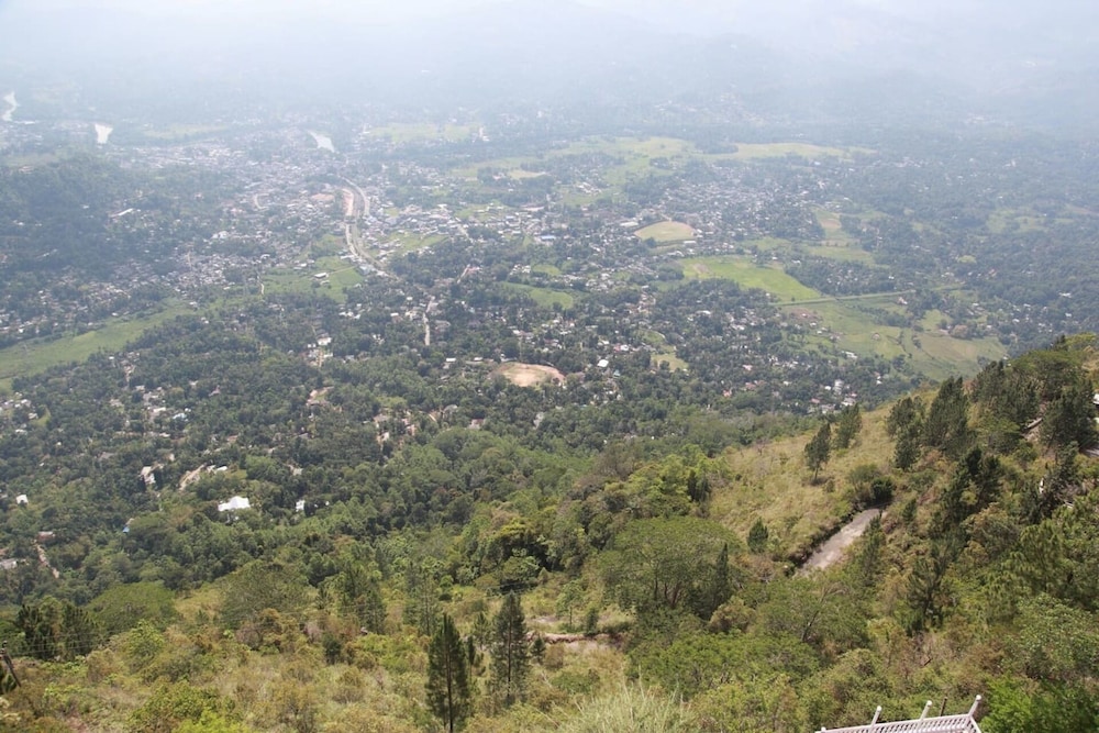 Photo 46