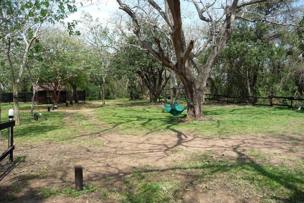 Photo 26