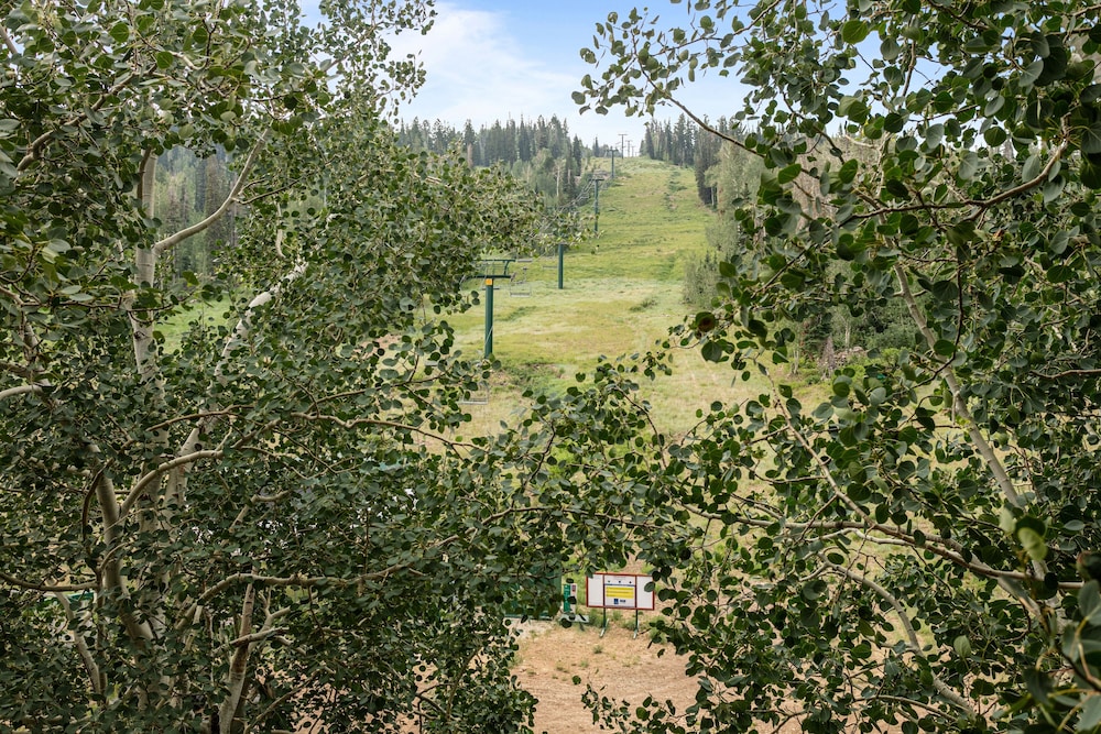 Grand Lodge - Four Bedroom #502 - Ski-in/ski-out 4 Condo