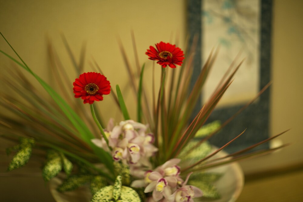 Photo 48