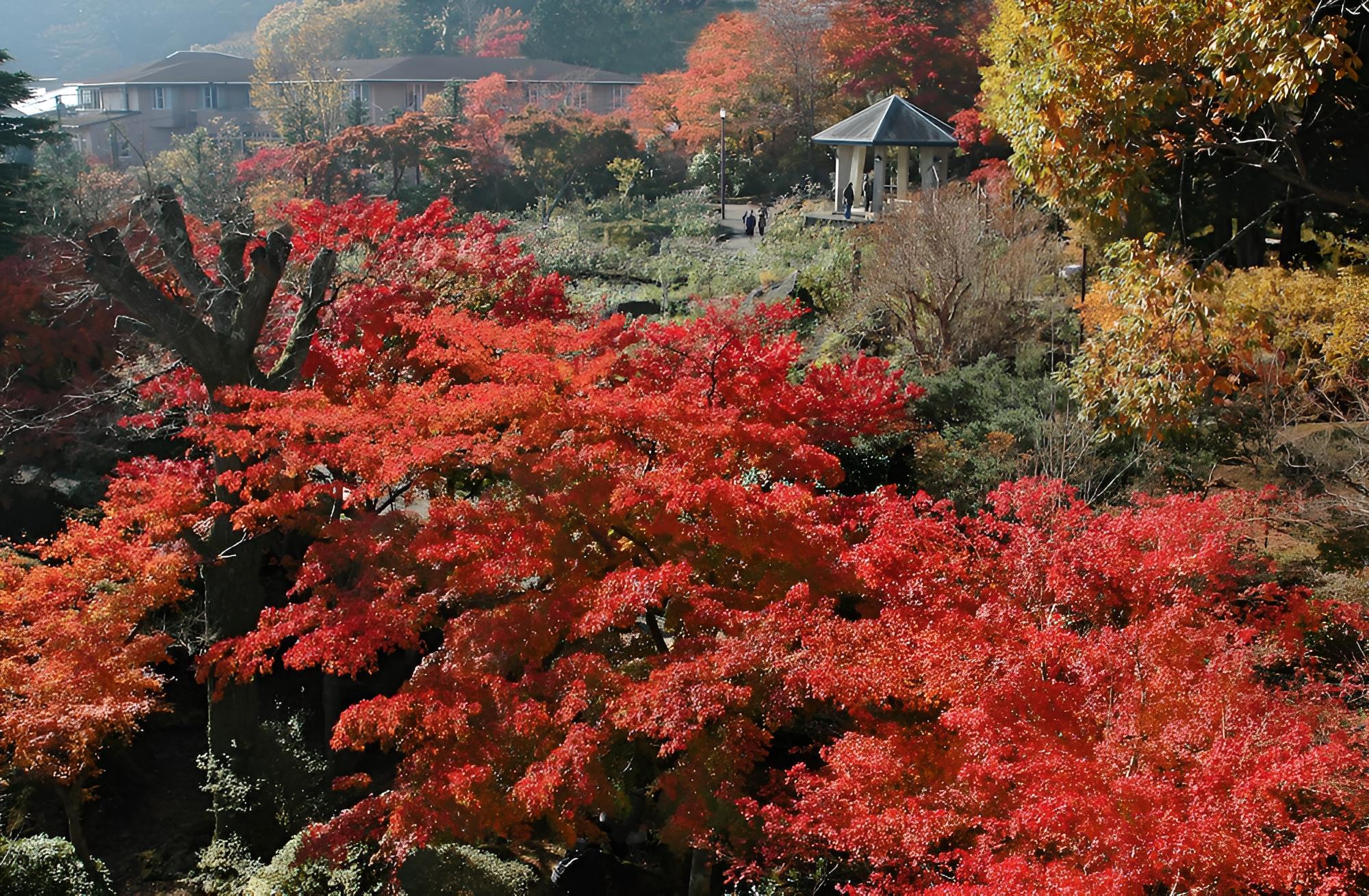 Suikokan