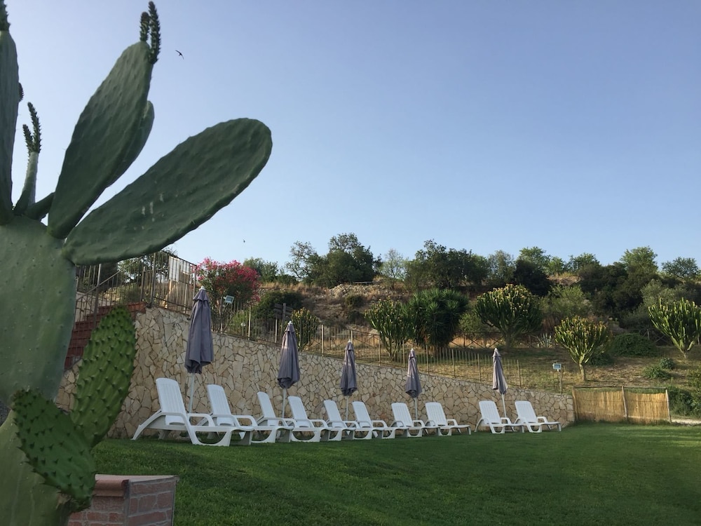 Agriturismo Saccollino