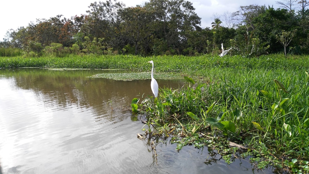 Lirio Lodge