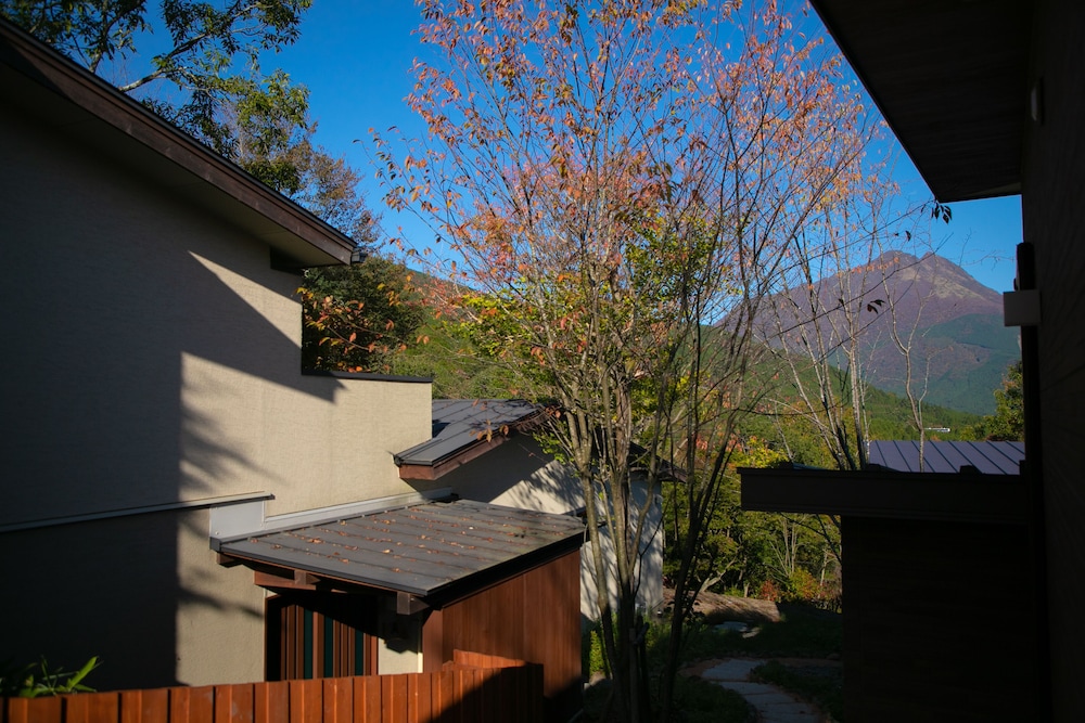 Photo 38