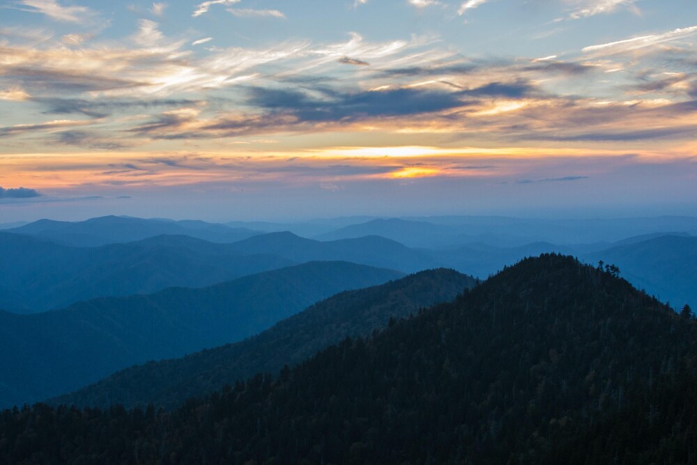 Birdsong by Jackson Mountain Rentals