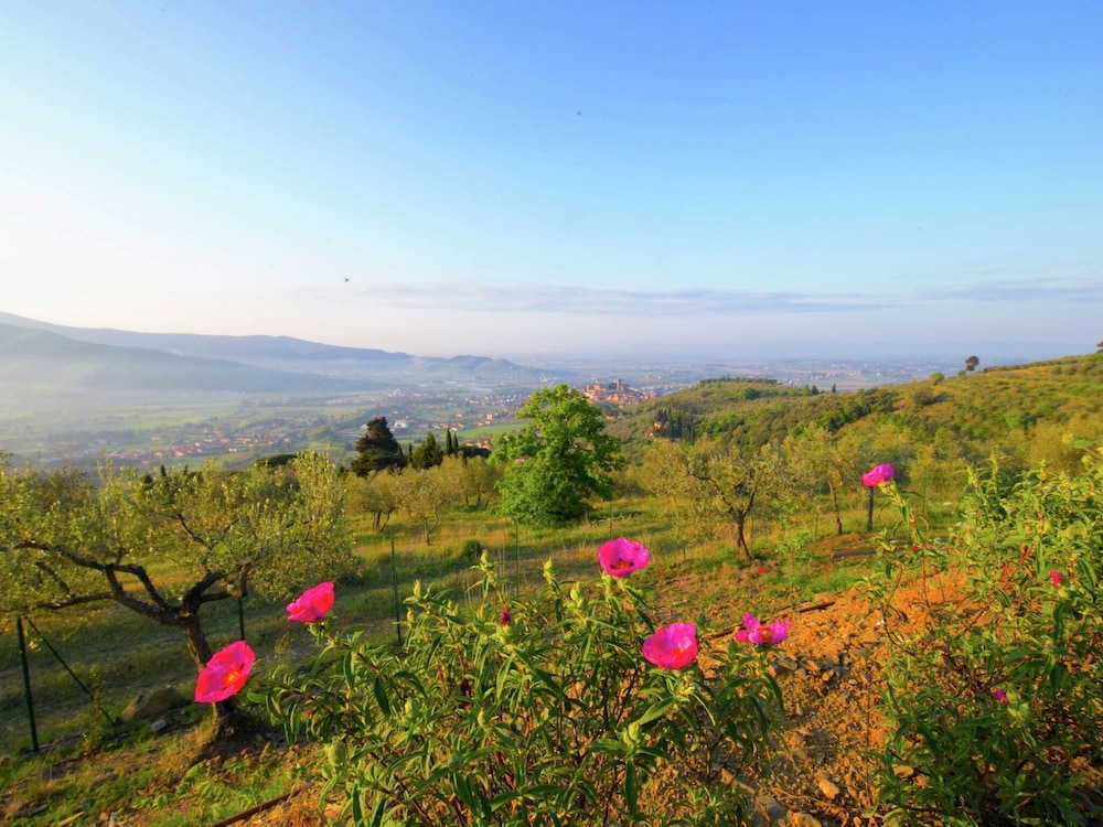Villa in Mammi With Pool Near Florence view 5