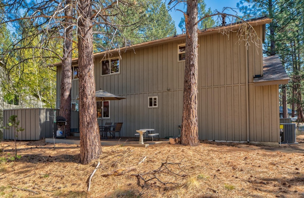 Coyote Lane 15