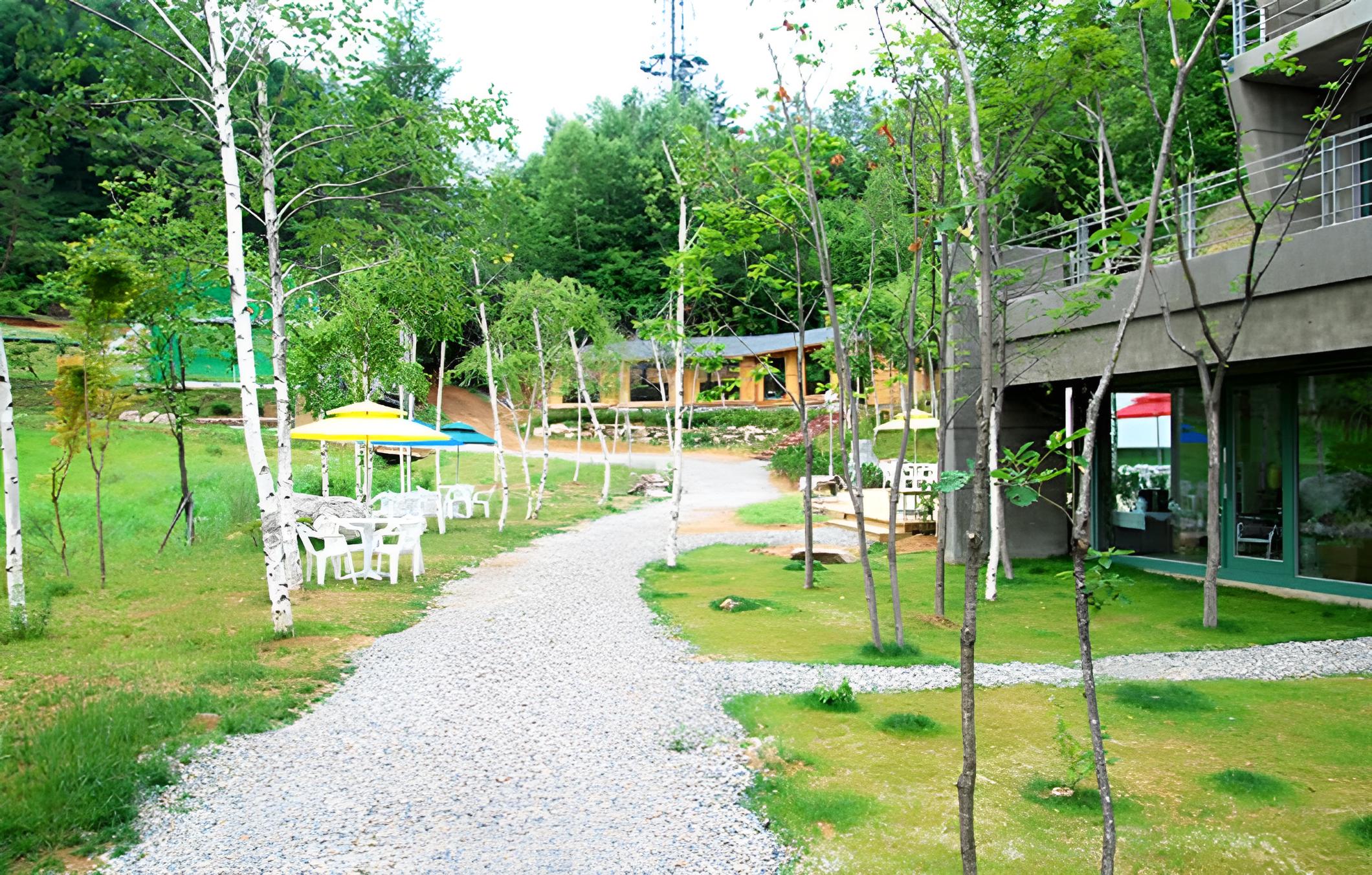 Pyeongchang The Sky Forest