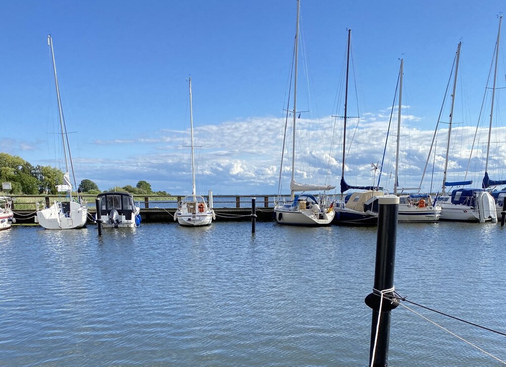 Ostseekrabbe