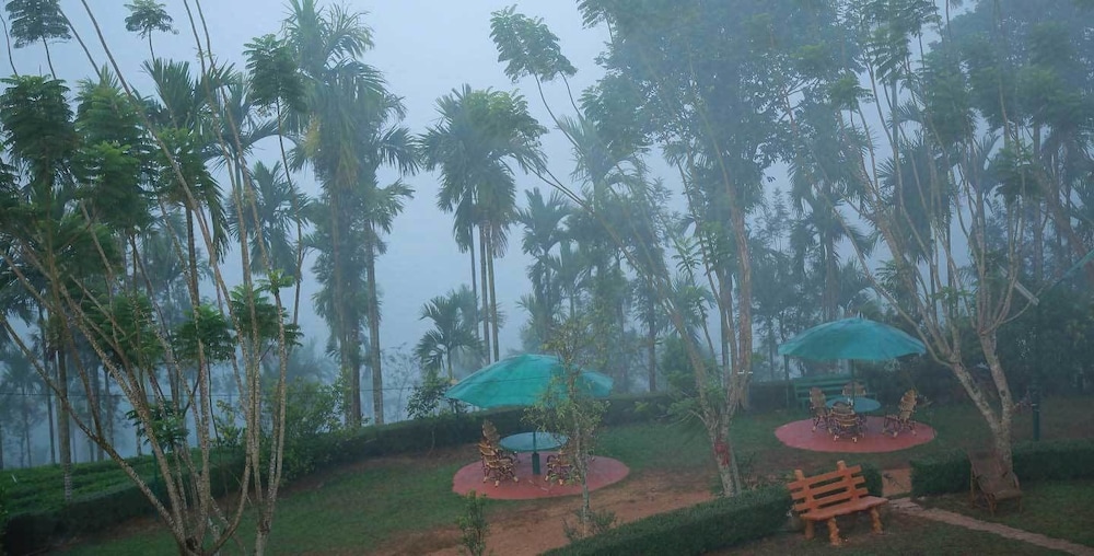 New Line Gods Land Resort