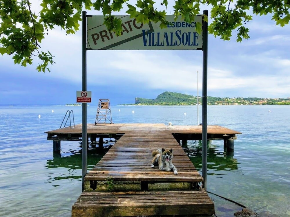 Photo 45