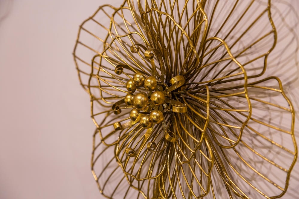 Golden Shell at Hystorical Center