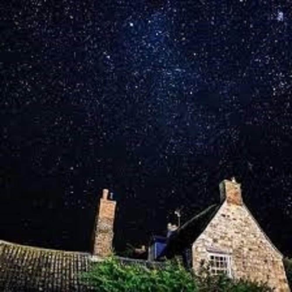 Marlborough Vacations - Silbury House - Property Image 13