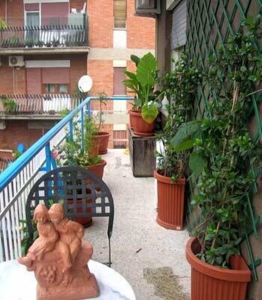 Abruzzese