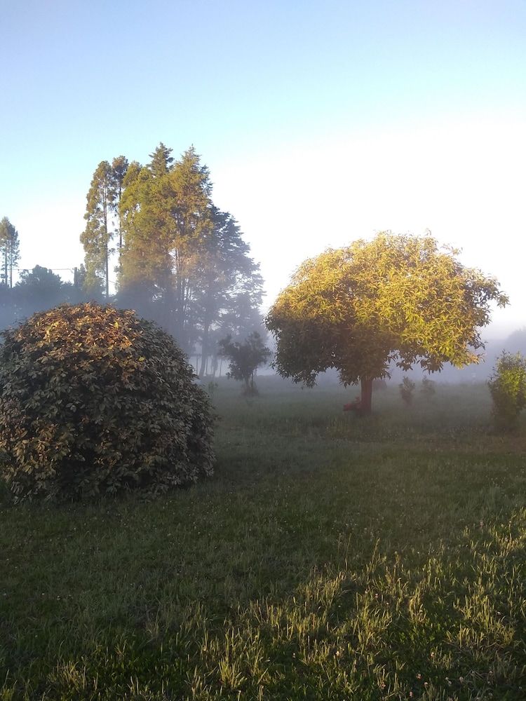 Photo 45