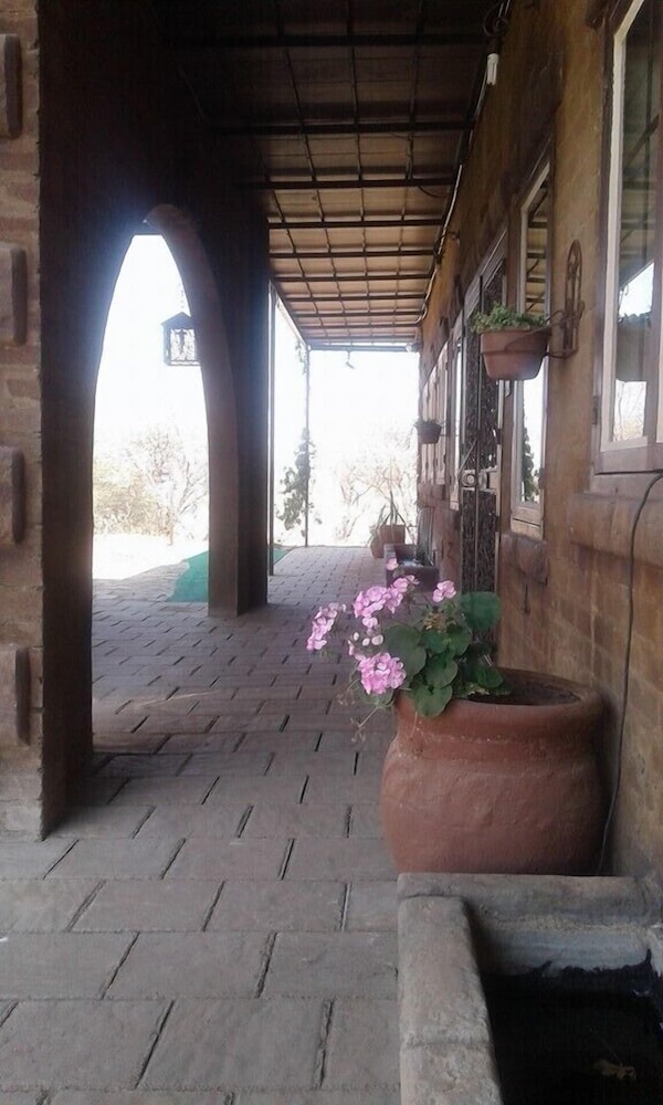 Photo 13