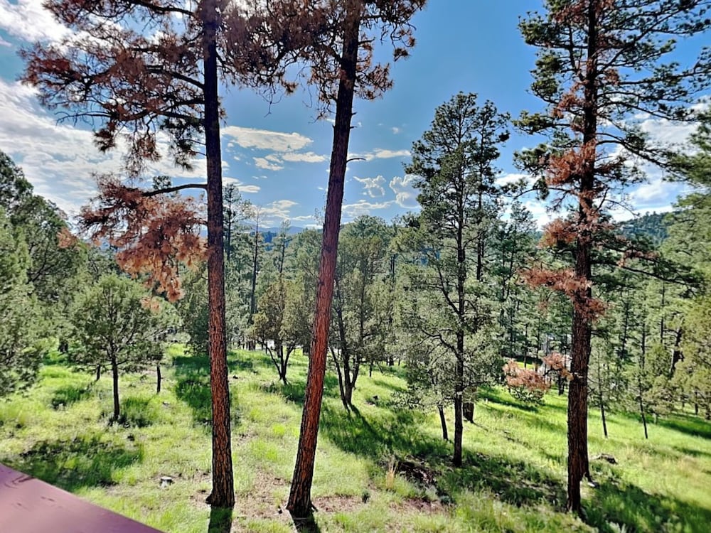 Sierra Silver by Ruidoso Vacation Rentals