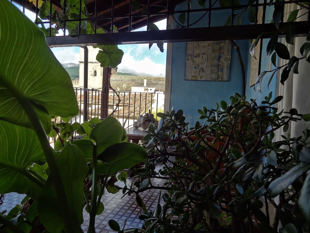 Hostal La Solana
