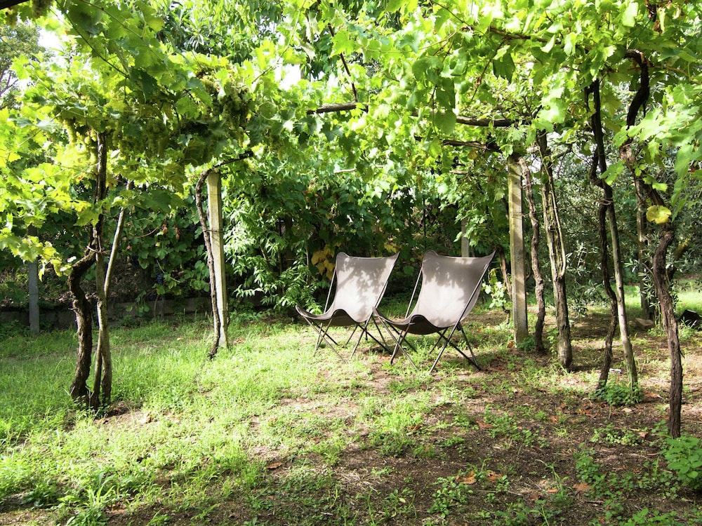 Holiday Home in Cortona photo 5