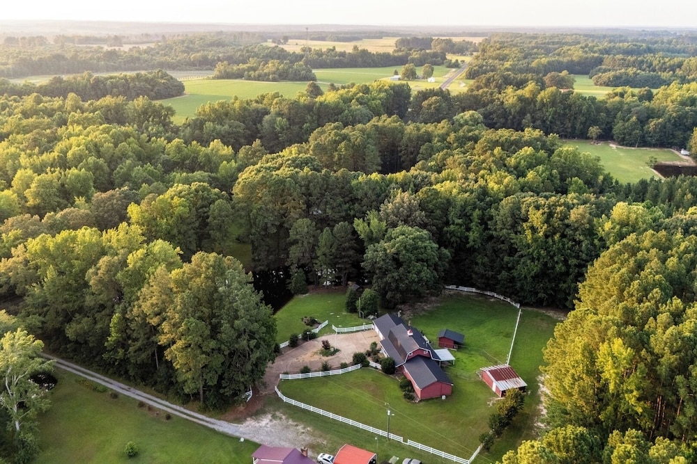 Pet-friendly 3BR Lake House Firepit & Pier