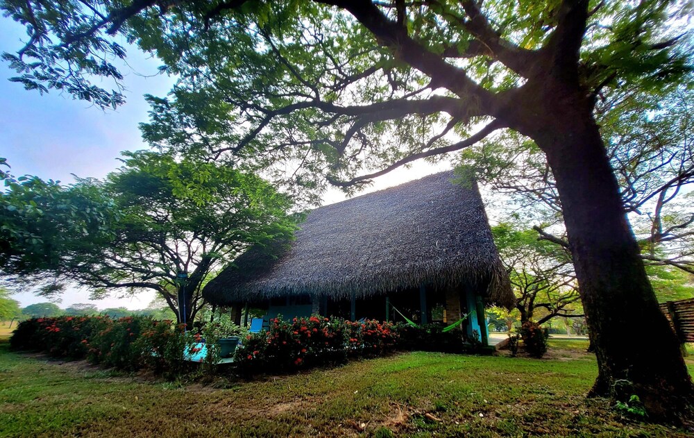 Hato San Pablo