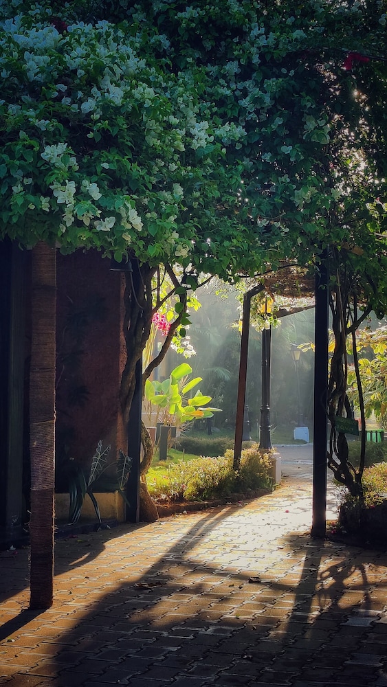 THE YELLOW BAMBOO RESORT AND SPA