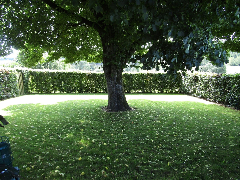 Photo 32